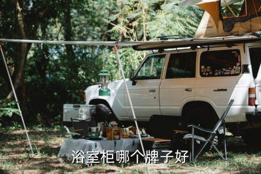 浴室柜哪個(gè)牌子好