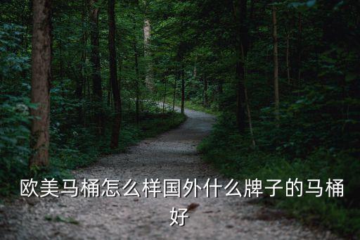  歐美馬桶怎么樣國(guó)外什么牌子的馬桶好