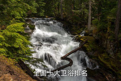 久牧衛(wèi)浴是大品牌嗎,九牧衛(wèi)浴怎么樣是幾線品牌