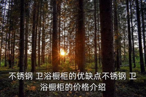 不銹鋼 衛(wèi)浴櫥柜的優(yōu)缺點不銹鋼 衛(wèi)浴櫥柜的價格介紹
