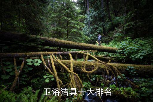  衛(wèi)浴潔具十大排名