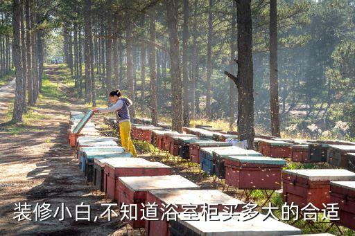 裝修小白,不知道浴室柜買多大的合適