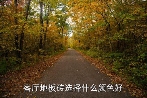 客廳地板磚選擇什么顏色好