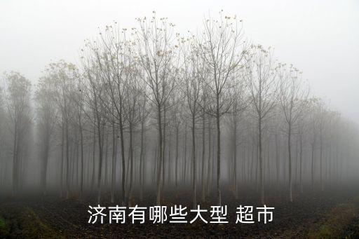 濟南有哪些大型 超市