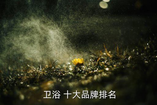 中國(guó)衛(wèi)浴著名十大品牌,十大衛(wèi)浴品牌排行榜2022