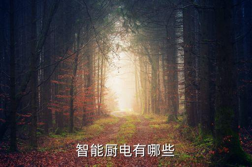 智能廚電有哪些