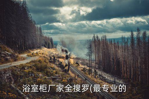 浴室柜廠家全搜羅(最專業(yè)的