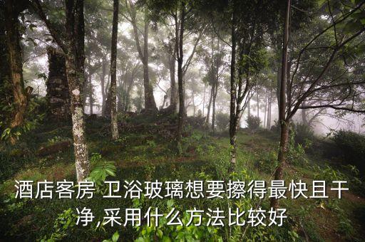 衛(wèi)浴扶手玻璃門效果圖片,衛(wèi)浴玻璃門圖片大全集