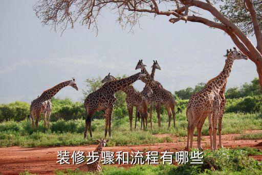 吊頂衛(wèi)浴隔斷先后順序圖片