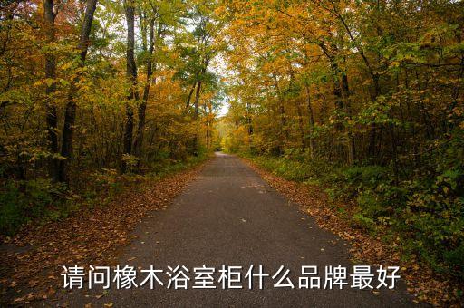 請(qǐng)問(wèn)橡木浴室柜什么品牌最好