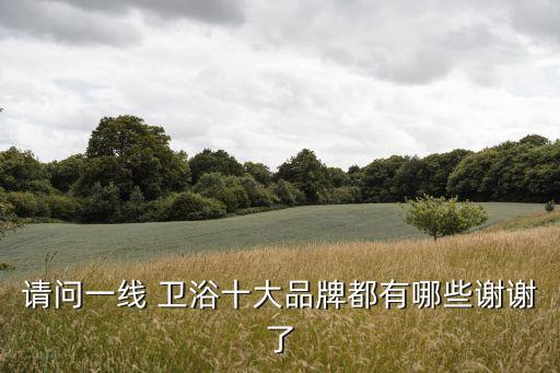 請問一線 衛(wèi)浴十大品牌都有哪些謝謝了