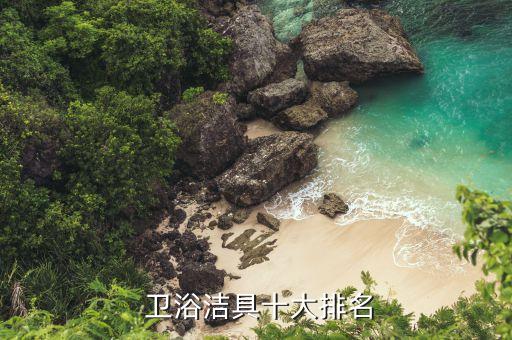臨泉衛(wèi)浴一線品牌