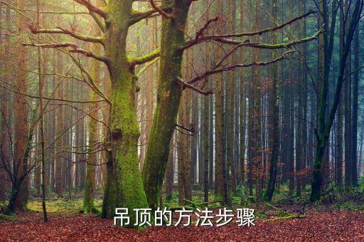  吊頂?shù)姆椒ú襟E