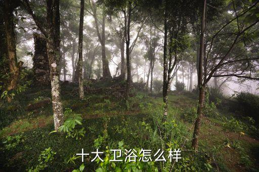 鷹的衛(wèi)浴推薦品牌是什么,kdkd衛(wèi)浴是什么品牌