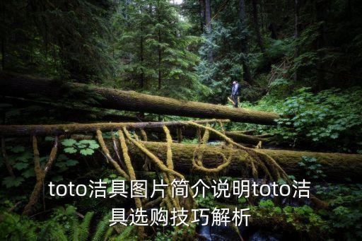 toto潔具圖片簡(jiǎn)介說明toto潔具選購技巧解析