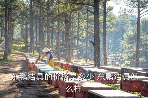  東鵬潔具的價格是多少 東鵬潔具怎么樣