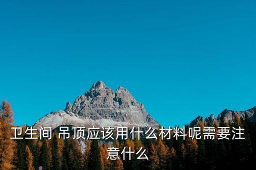 衛(wèi)生間 吊頂應該用什么材料呢需要注意什么