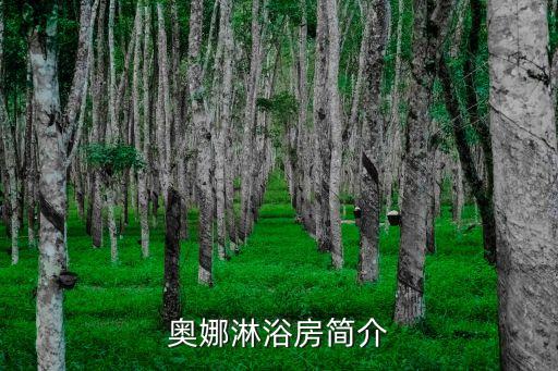 凱瑞娜衛(wèi)浴算是正規(guī)品牌嗎