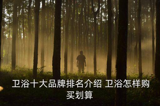  衛(wèi)浴十大品牌排名介紹 衛(wèi)浴怎樣購(gòu)買(mǎi)劃算