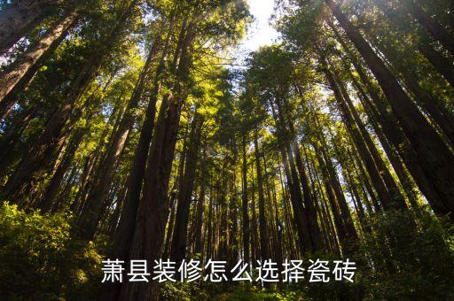 蕭縣衛(wèi)浴定做店家電話地址