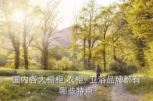 國內(nèi)各大櫥柜,衣柜, 衛(wèi)浴品牌都有哪些特點
