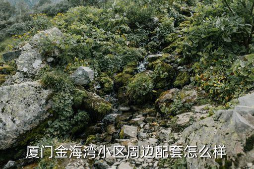 廈門金海灣小區(qū)周邊配套怎么樣