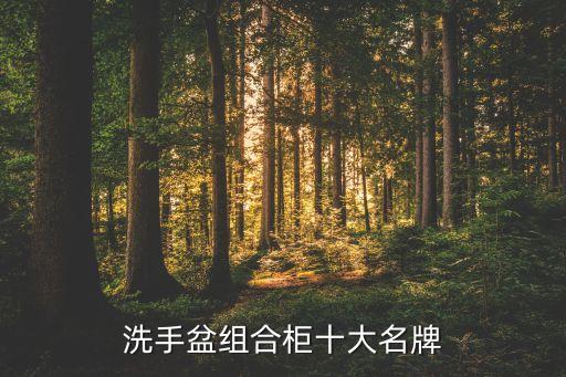 洗手盆組合柜十大名牌