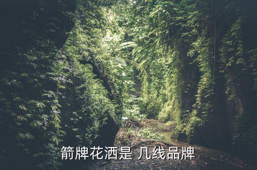 arovaro衛(wèi)浴屬于幾線品牌