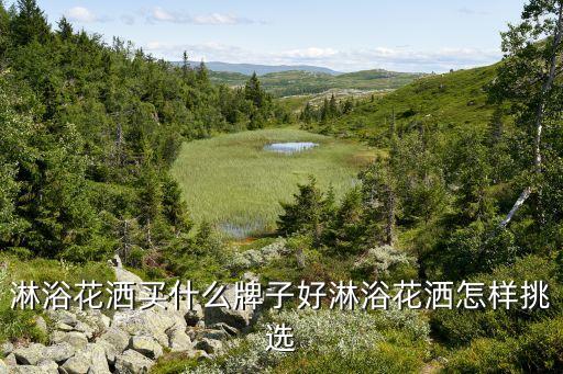 全套衛(wèi)浴套裝圖片