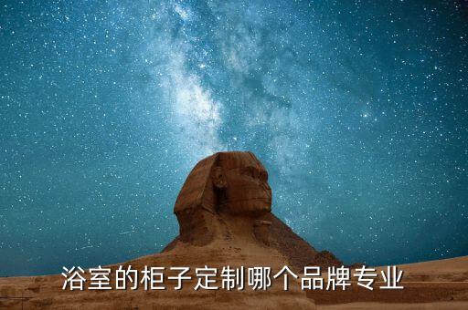 浴室的柜子定制哪個(gè)品牌專業(yè)