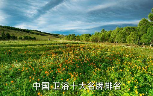 中國 衛(wèi)浴十大名牌排名