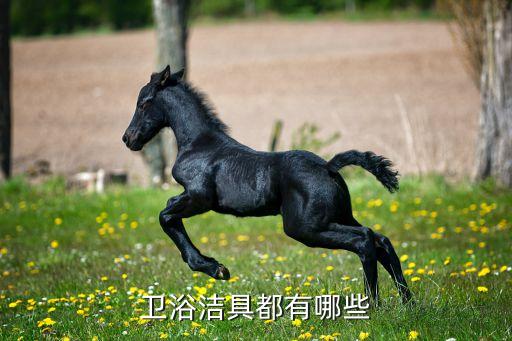 衛(wèi)浴潔具都有哪些