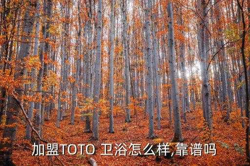 加盟TOTO 衛(wèi)浴怎么樣,靠譜嗎