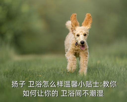  揚子 衛(wèi)浴怎么樣溫馨小貼士:教你如何讓你的 衛(wèi)浴間不潮濕