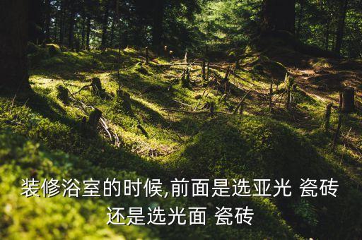 裝修浴室的時(shí)候,前面是選亞光 瓷磚還是選光面 瓷磚