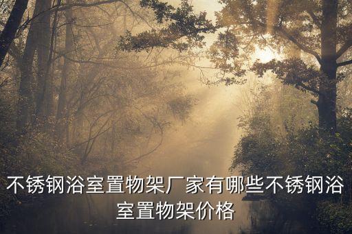 不銹鋼浴室置物架廠家有哪些不銹鋼浴室置物架價格