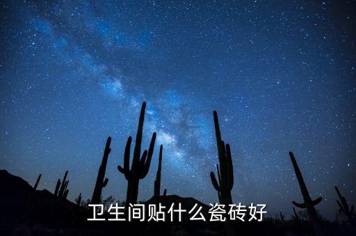 衛(wèi)生間貼什么瓷磚好