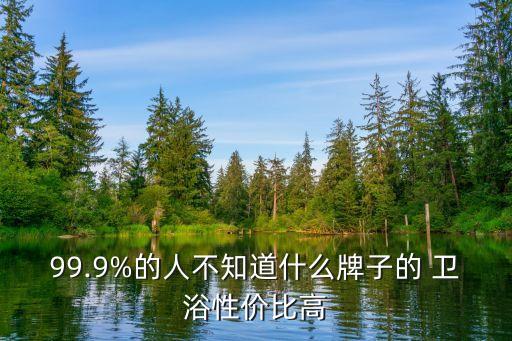 好用實(shí)惠的衛(wèi)浴品牌有哪些