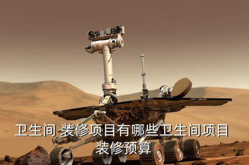 衛(wèi)生間 裝修項目有哪些衛(wèi)生間項目 裝修預算