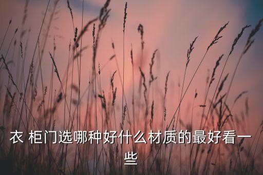 衣 柜門選哪種好什么材質(zhì)的最好看一些