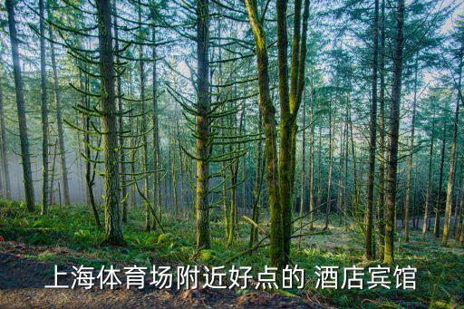 上海體育場附近好點(diǎn)的 酒店賓館