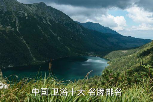 中國(guó) 衛(wèi)浴十大 名牌排名