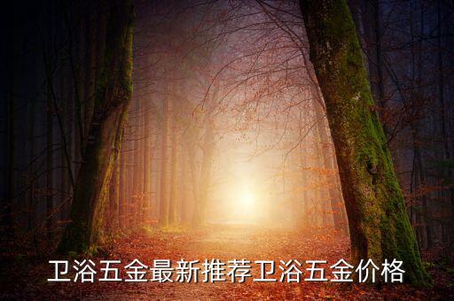 衛(wèi)浴五金最新推薦衛(wèi)浴五金價格
