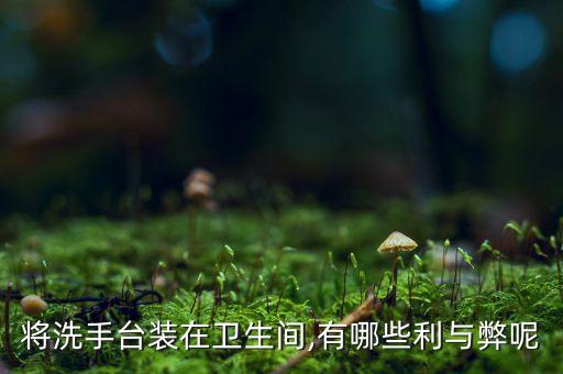 將洗手臺裝在衛(wèi)生間,有哪些利與弊呢