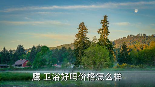 大紅鷹牌衛(wèi)浴是一線品牌嗎