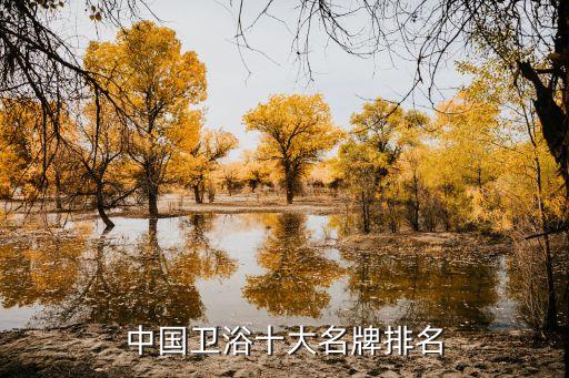 中國衛(wèi)浴十大名牌排名