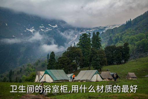 橡木衛(wèi)浴柜哪種好些呢圖片