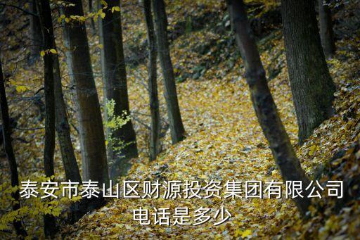  泰安市泰山區(qū)財源投資集團有限公司 電話是多少