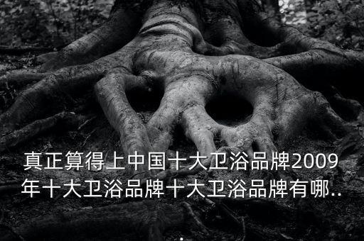 真正算得上中國十大衛(wèi)浴品牌2009年十大衛(wèi)浴品牌十大衛(wèi)浴品牌有哪...