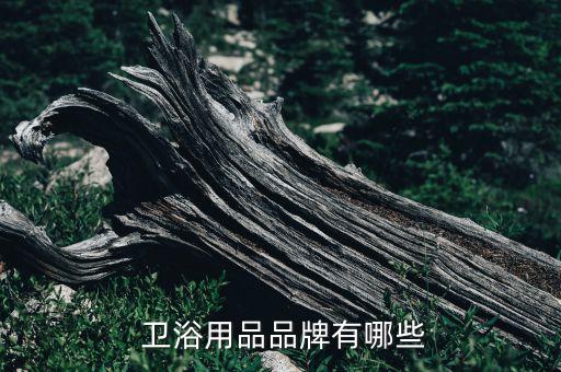  衛(wèi)浴用品品牌有哪些